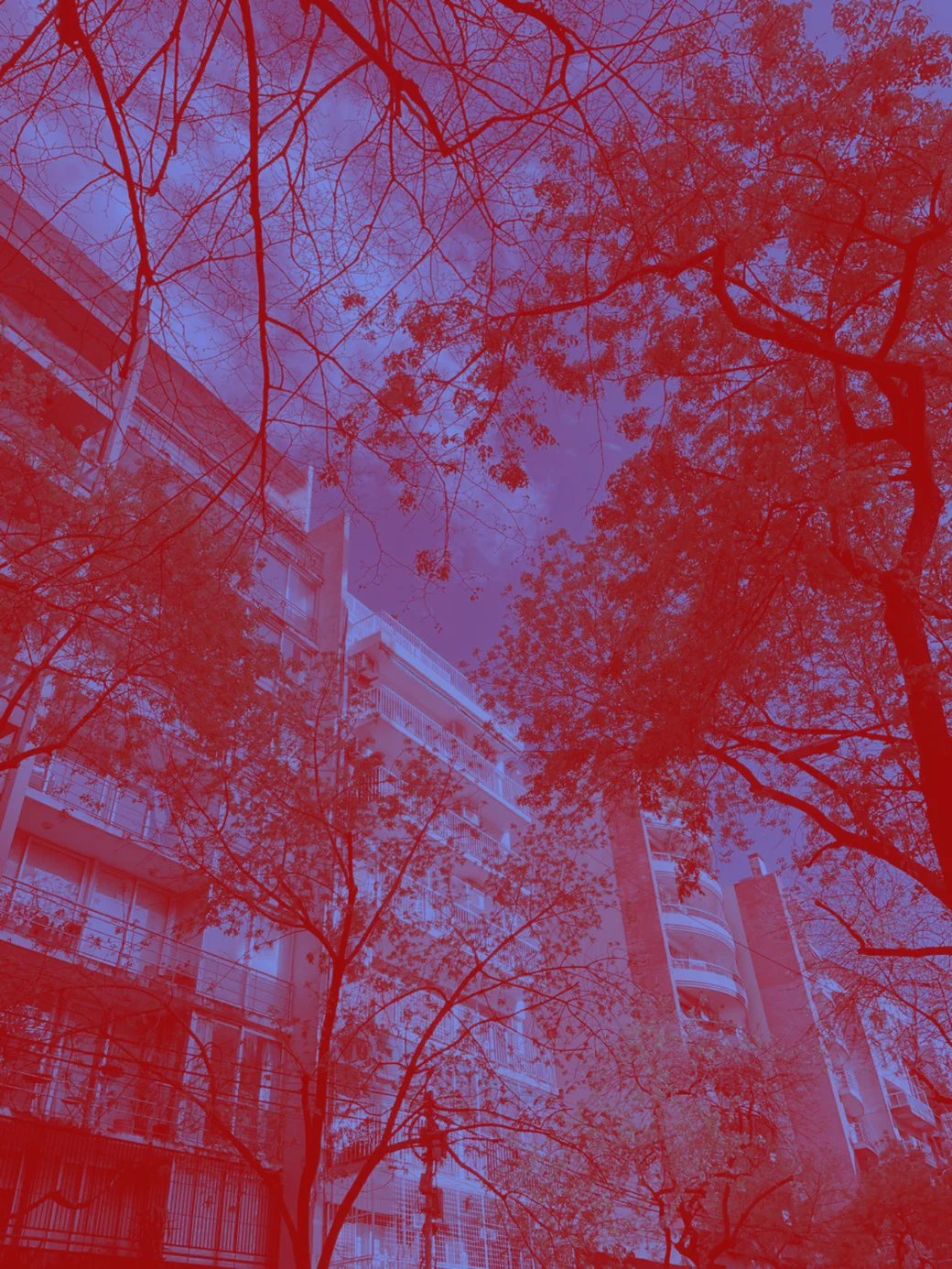 copas de árboles y edificios vistos desde abajo, en duotono rojo y celeste